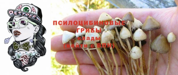а пвп мука Нея