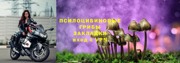 герыч Алзамай