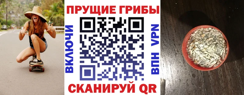 Галлюциногенные грибы Cubensis  Стародуб 